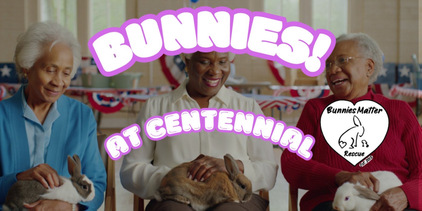 Live Bunnies at Centennial Hills